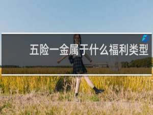 五险一金属于什么福利类型