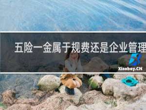 五险一金属于规费还是企业管理费