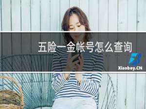 五险一金帐号怎么查询