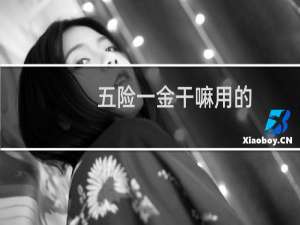 五险一金干嘛用的