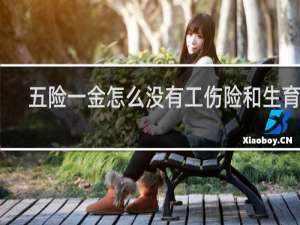 五险一金怎么没有工伤险和生育险