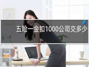 五险一金扣1000公司交多少