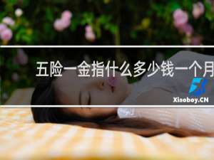 五险一金指什么多少钱一个月