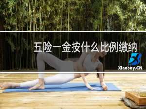 五险一金按什么比例缴纳