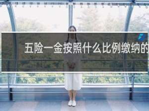 五险一金按照什么比例缴纳的