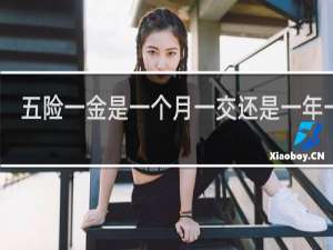 五险一金是一个月一交还是一年一交