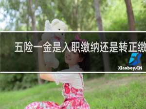 五险一金是入职缴纳还是转正缴纳