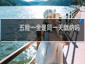 五险一金是同一天缴纳吗