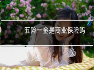 五险一金是商业保险吗