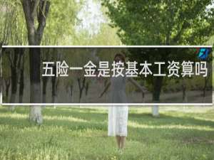 五险一金是按基本工资算吗