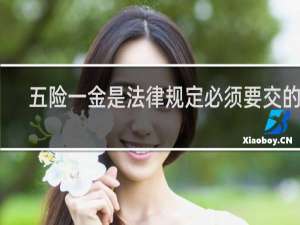 五险一金是法律规定必须要交的吗