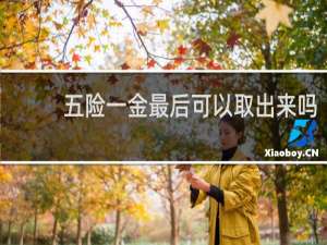 五险一金最后可以取出来吗