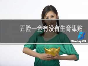 五险一金有没有生育津贴