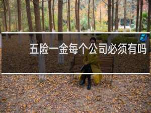 五险一金每个公司必须有吗