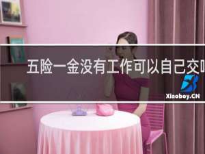 五险一金没有工作可以自己交吗