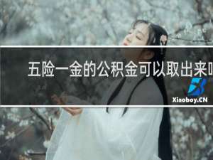 五险一金的公积金可以取出来吗