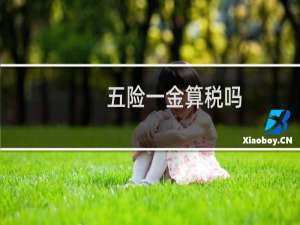 五险一金算税吗