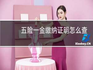 五险一金缴纳证明怎么查