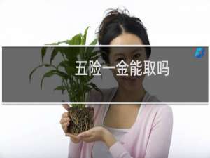 五险一金能取吗