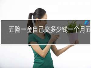 五险一金自己交多少钱一个月五千