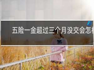 五险一金超过三个月没交会怎样