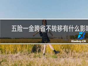 五险一金跨省不转移有什么影响