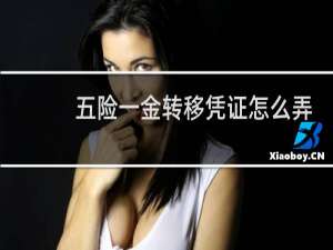 五险一金转移凭证怎么弄