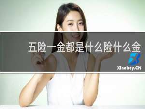 五险一金都是什么险什么金