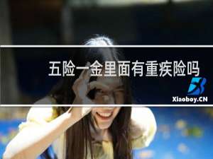 五险一金里面有重疾险吗