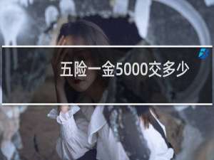 五险一金5000交多少