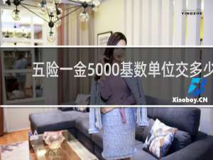 五险一金5000基数单位交多少