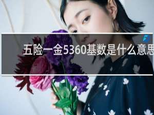 五险一金5360基数是什么意思