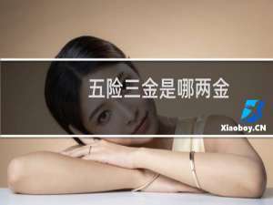 五险三金是哪两金
