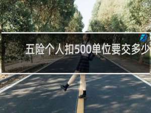 五险个人扣500单位要交多少