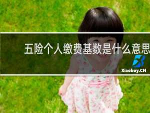 五险个人缴费基数是什么意思