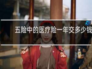 五险中的医疗险一年交多少钱