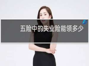 五险中的失业险能领多少