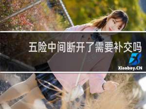 五险中间断开了需要补交吗