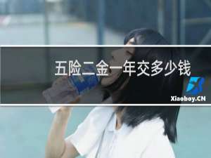 五险二金一年交多少钱