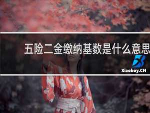 五险二金缴纳基数是什么意思