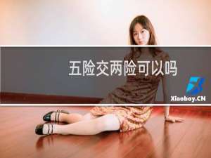 五险交两险可以吗