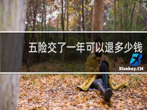 五险交了一年可以退多少钱