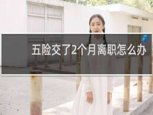 五险交了2个月离职怎么办