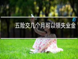 五险交几个月可以领失业金