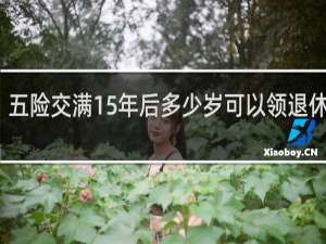 五险交满15年后多少岁可以领退休工资