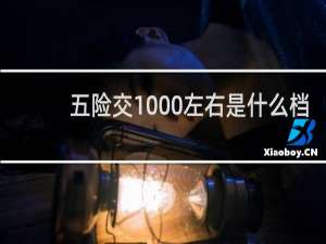 五险交1000左右是什么档