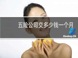 五险公司交多少钱一个月