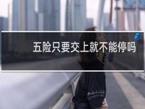 五险只要交上就不能停吗