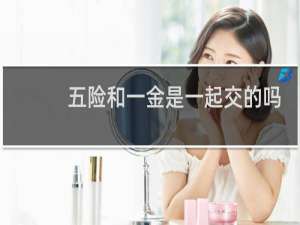 五险和一金是一起交的吗