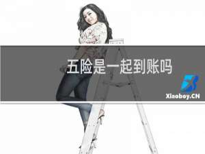 五险是一起到账吗